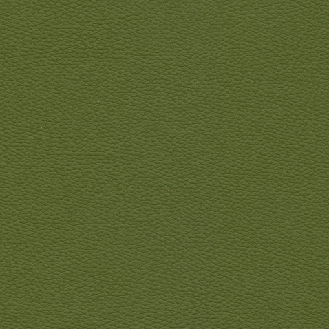Kleurstalen voor thuis - Toledo Leer Apple Green