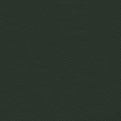 Kleurstalen voor thuis - Toledo Leer Verde