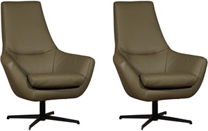 Set van 2 Leren draaifauteuils Treat