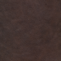 Kleurstalen voor thuis - Vintage Leer Brown