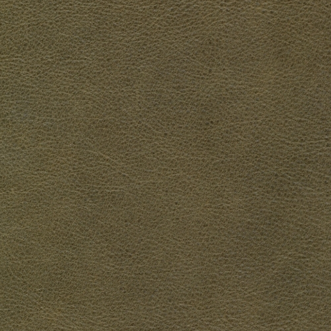 Kleurstalen voor thuis - Vintage Leer Olive